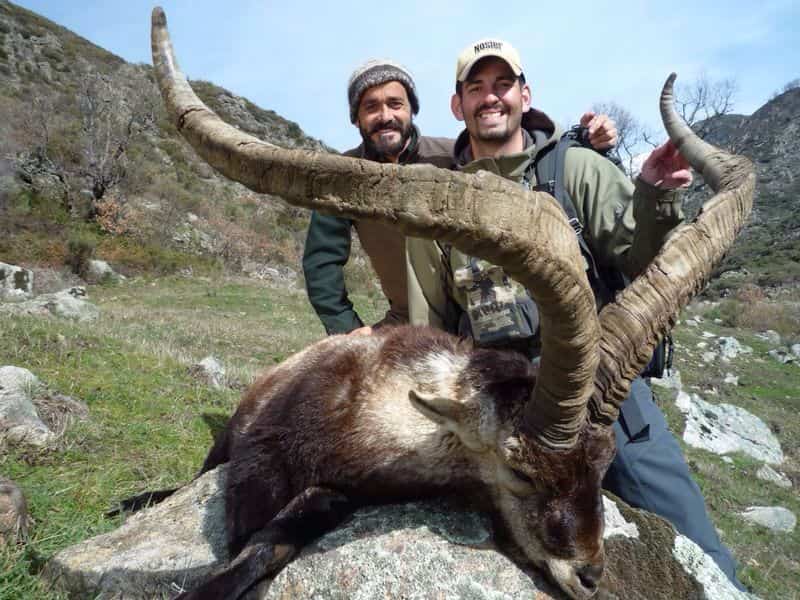 Іспанія. Королівське полювання veprsafari.com