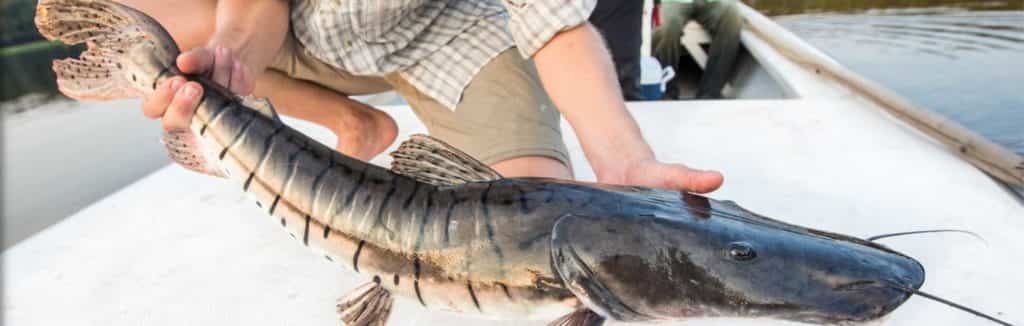 Твій гід в світі полювання Vepr Safari Болівія