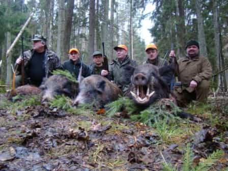 Твій гід в світі полювання Vepr Safari Полювання у Болгарії