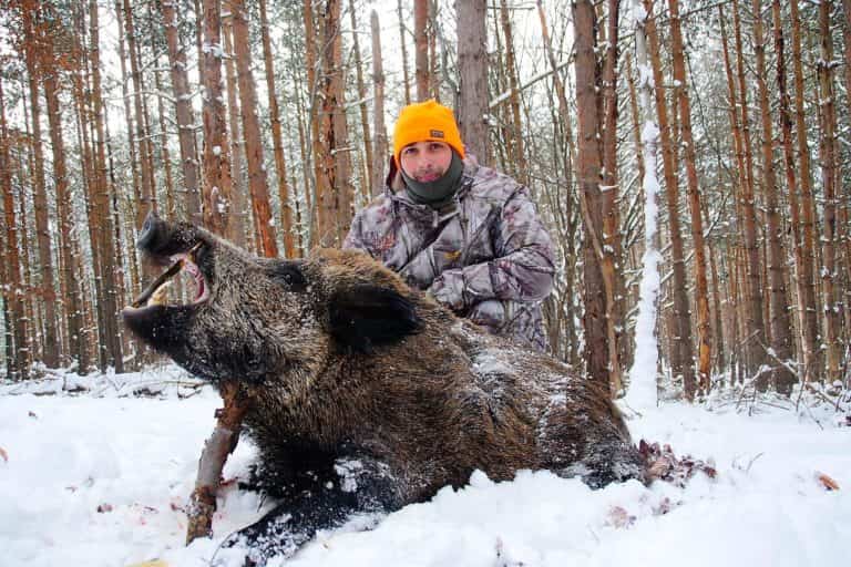 Твій гід в світі полювання Vepr Safari Полювання у Болгарії