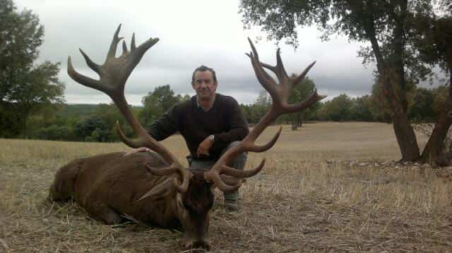 Іспанська монтерія: особливості, закони, традиції veprsafari.com