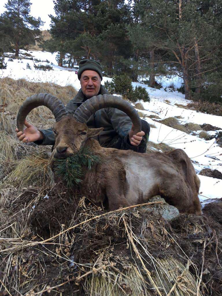 Полювання на Кавказі veprsafari.com