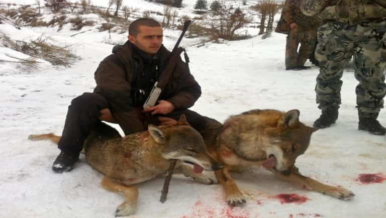 Твій гід в світі полювання Vepr Safari Полювання у Болгарії