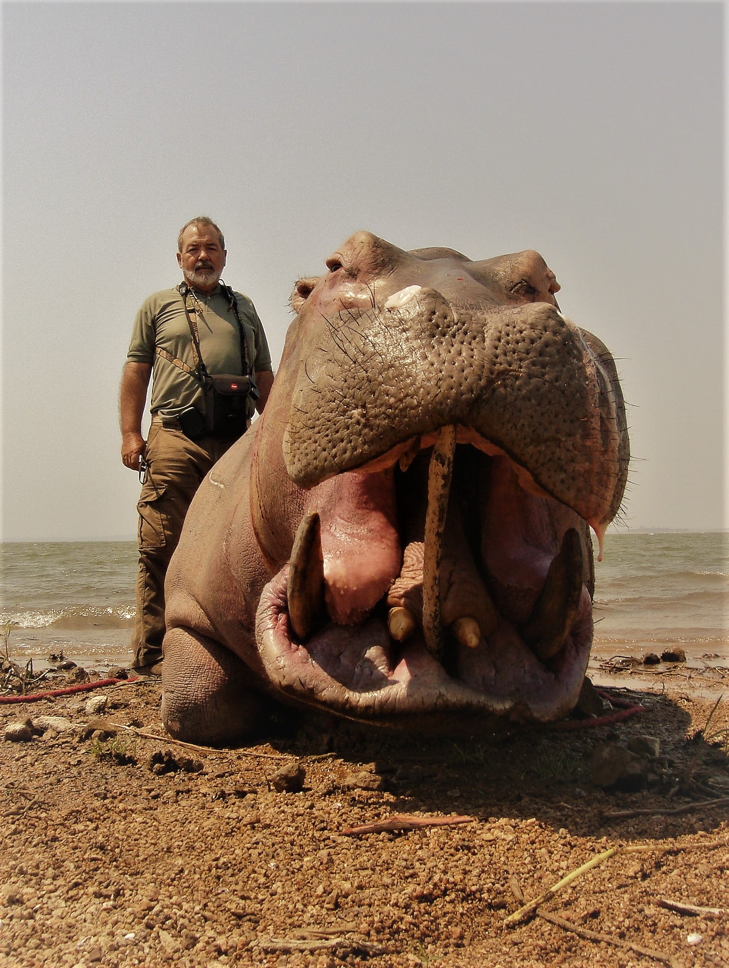 Твій гід в світі полювання Vepr Safari Полювання у Мозамбіку