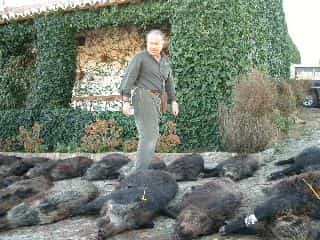 Монтерія 27 і 28 листопада 2021 року в Португалії veprsafari.com