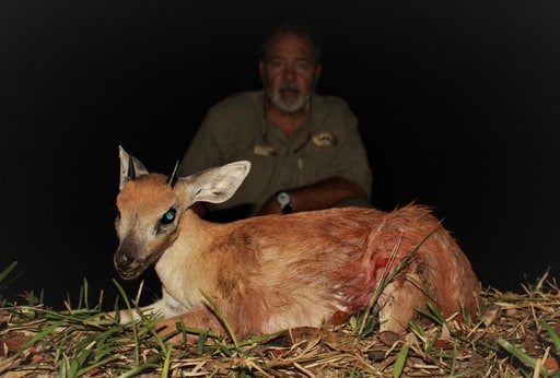 Полювання У Мозамбіку 10 Твій гід в світі полювання Vepr Safari Полювання у Мозамбіку