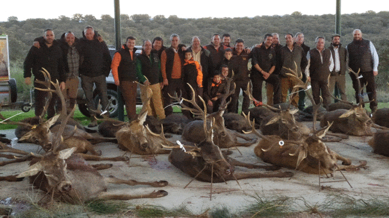 Твій гід в світі полювання Vepr Safari Загінне полювання в Іспанії.