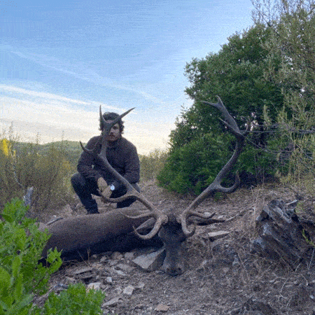 Твій гід в світі полювання Vepr Safari Загінне Полюваня В Іспанії -Tinajones