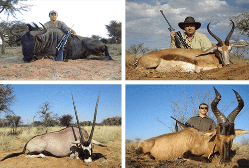 Полювання у Намібії / veprsafari.com