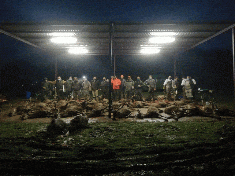 Монтеріі в Іспанії 09/10/11 жовтня 2021 року в провінції Касерес