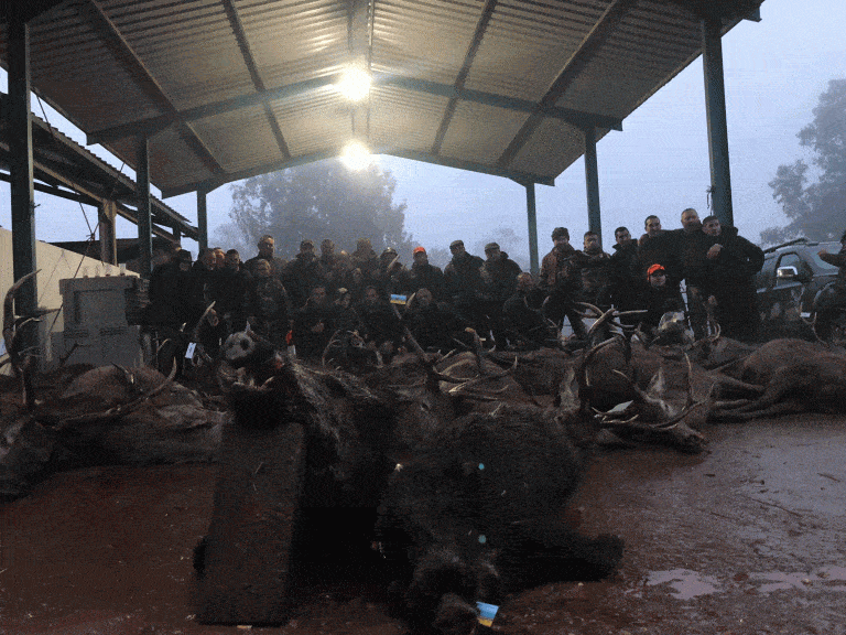 Монтеріі в Іспанії 09/10/11 жовтня 2021 року в провінції Касерес