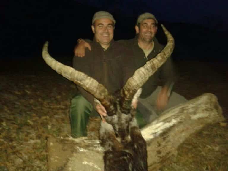 Охота на Козерога Испания