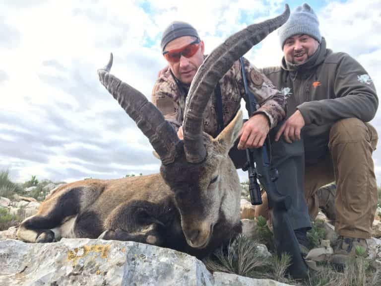 Твій гід в світі полювання Vepr Safari Полювання на козерога в Іспанії.