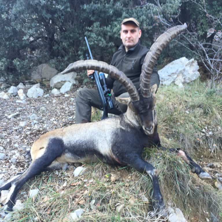 Козерог Бесейте (Beceite Ibex).Хороша пропозиція ,  (не медаль). Іспанія veprsafari.com