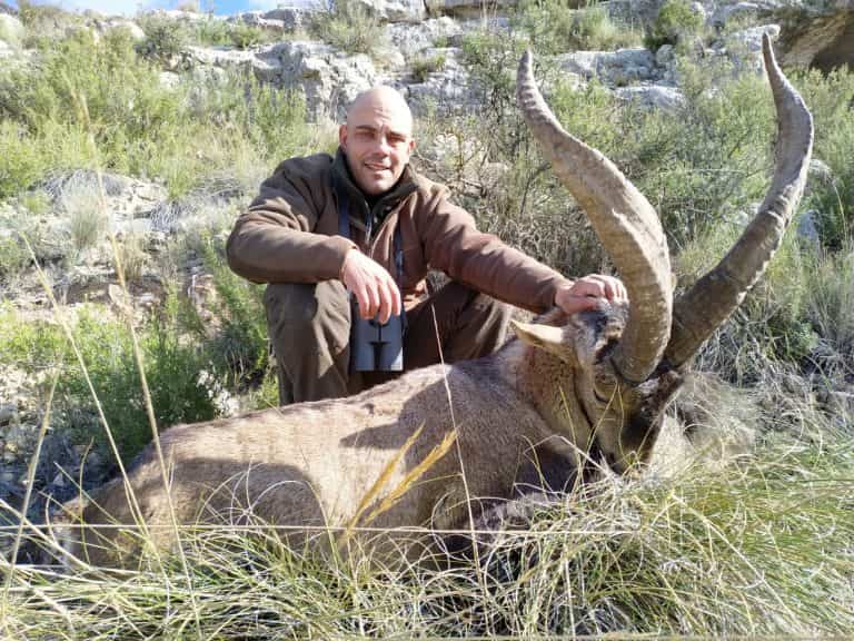 Козерог Бесейте (Beceite Ibex).Хороша пропозиція ,  (не медаль). Іспанія veprsafari.com