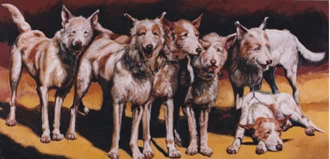 Монтерія - традиційне іспанське полювання veprsafari.com