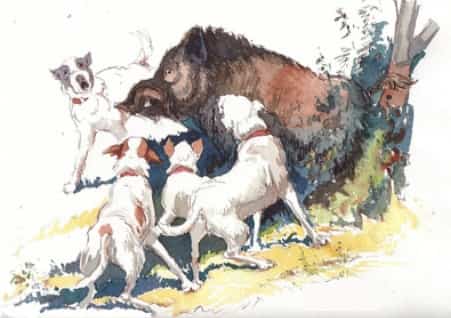 Монтерія - традиційне іспанське полювання veprsafari.com