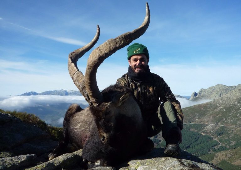 Твій гід в світі полювання Vepr Safari Полювання на козерога в Іспанії.