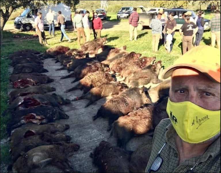 Дві монтерії 30 та 31/10/2021 в CIUDAD REAL. Іспанія veprsafari.com