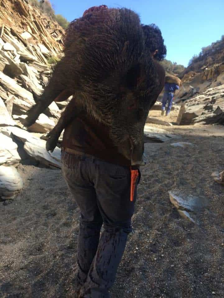 Монтерія 16/17 жовтня 2021 року в провінції Касерес. Іспанія veprsafari.com