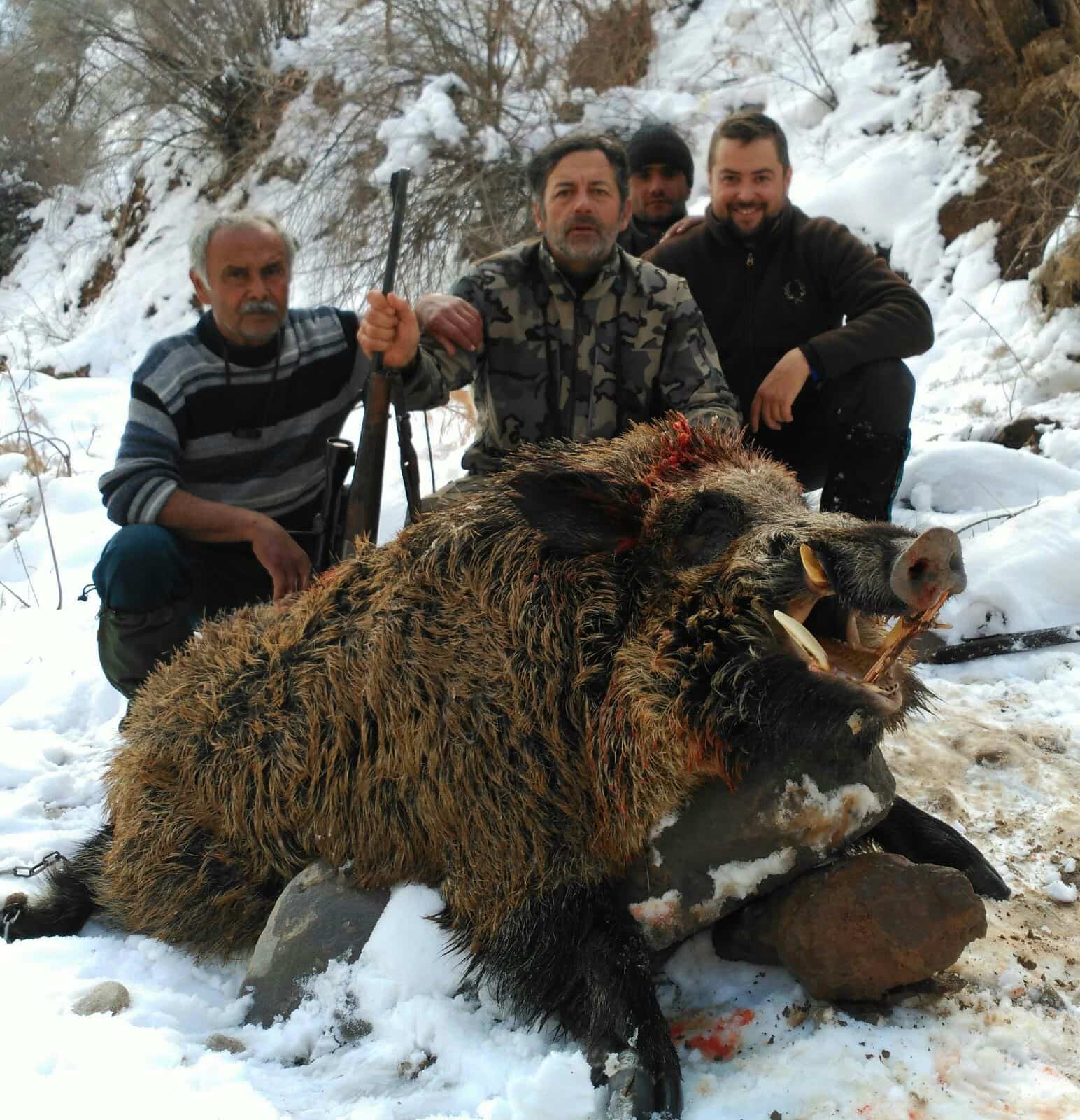 кабан в Таджикистані veprsafari.com