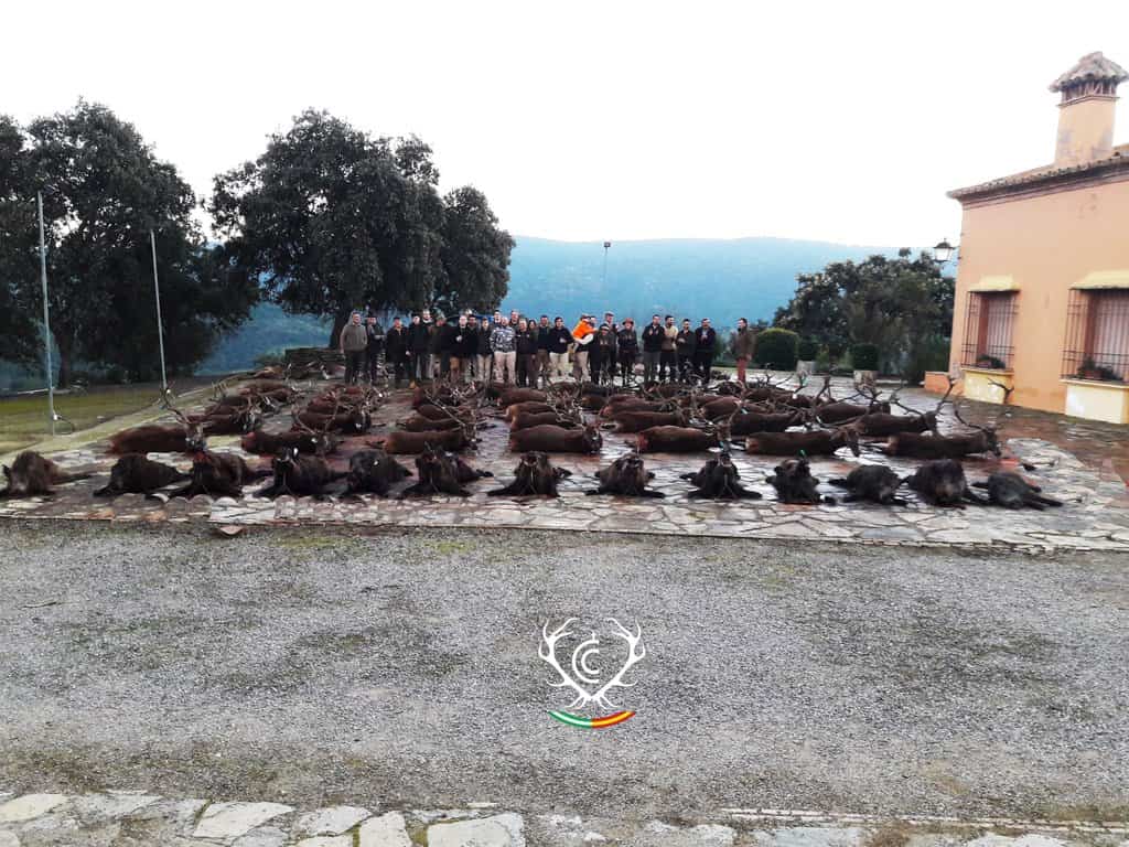 Монтерія 29-31 січня 2021 року. Іспанія veprsafari.com