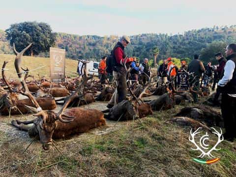 Монтерія 29-31 жовтня 2021 року. Португалія veprsafari.com