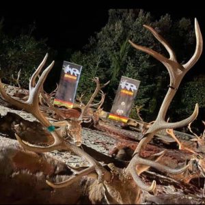 Captura de pantalla 2021-07-01 a las 20.43.32