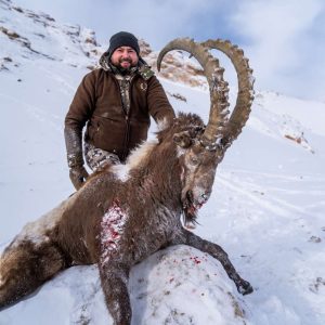 Козерог в Таджикістані veprsafari.com