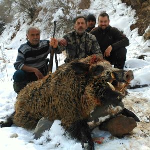 кабан в Таджикистані veprsafari.com